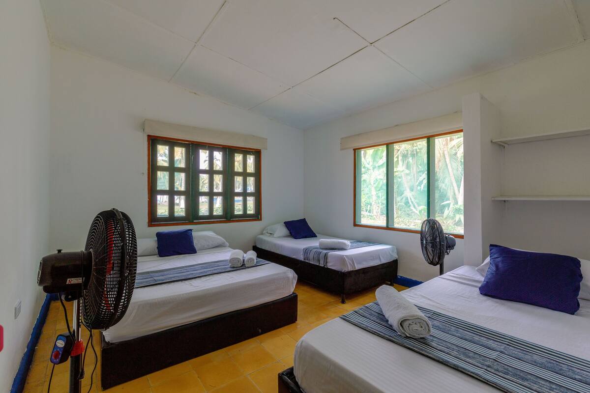 A hotel room with two beds, a standing fan, and large windows with a view of greenery.