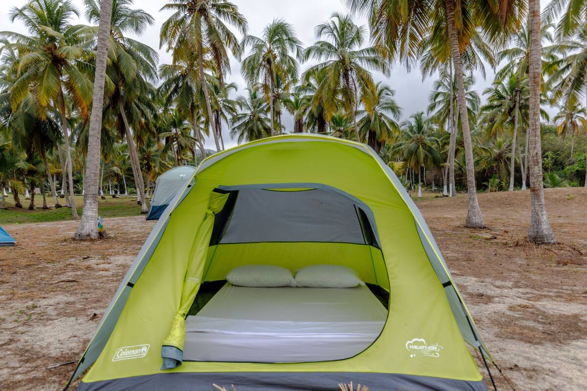 A green Coleman tent with a gray interior, set up on a sandy beach with palm trees in the background.