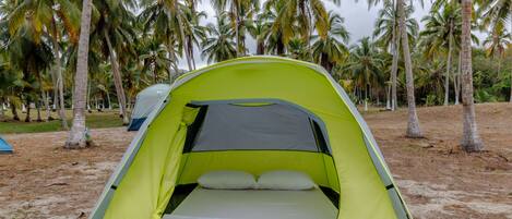 A green Coleman tent with a gray interior, set up on a sandy beach with palm trees in the background.
