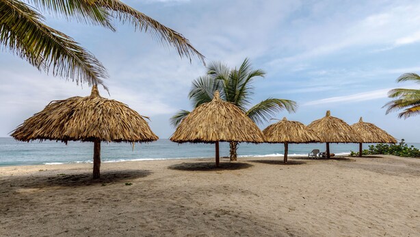A beach with thatched umbrellas and palm trees. - CASA DE CAMPO CASTILLETE (Santa Marta)