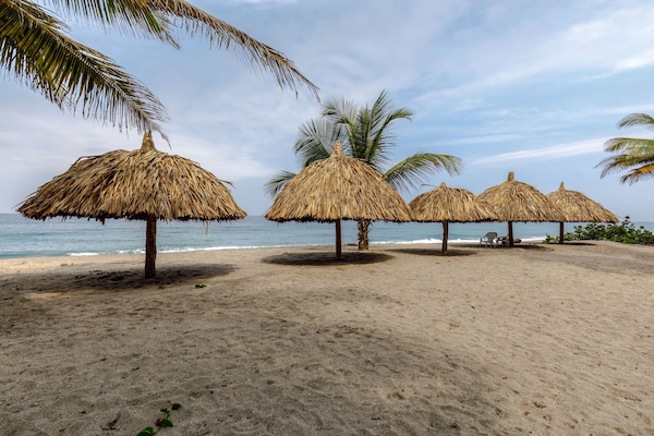 Nära stranden, vit sandstrand och transport till/från stranden