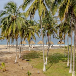 Ngoại thất