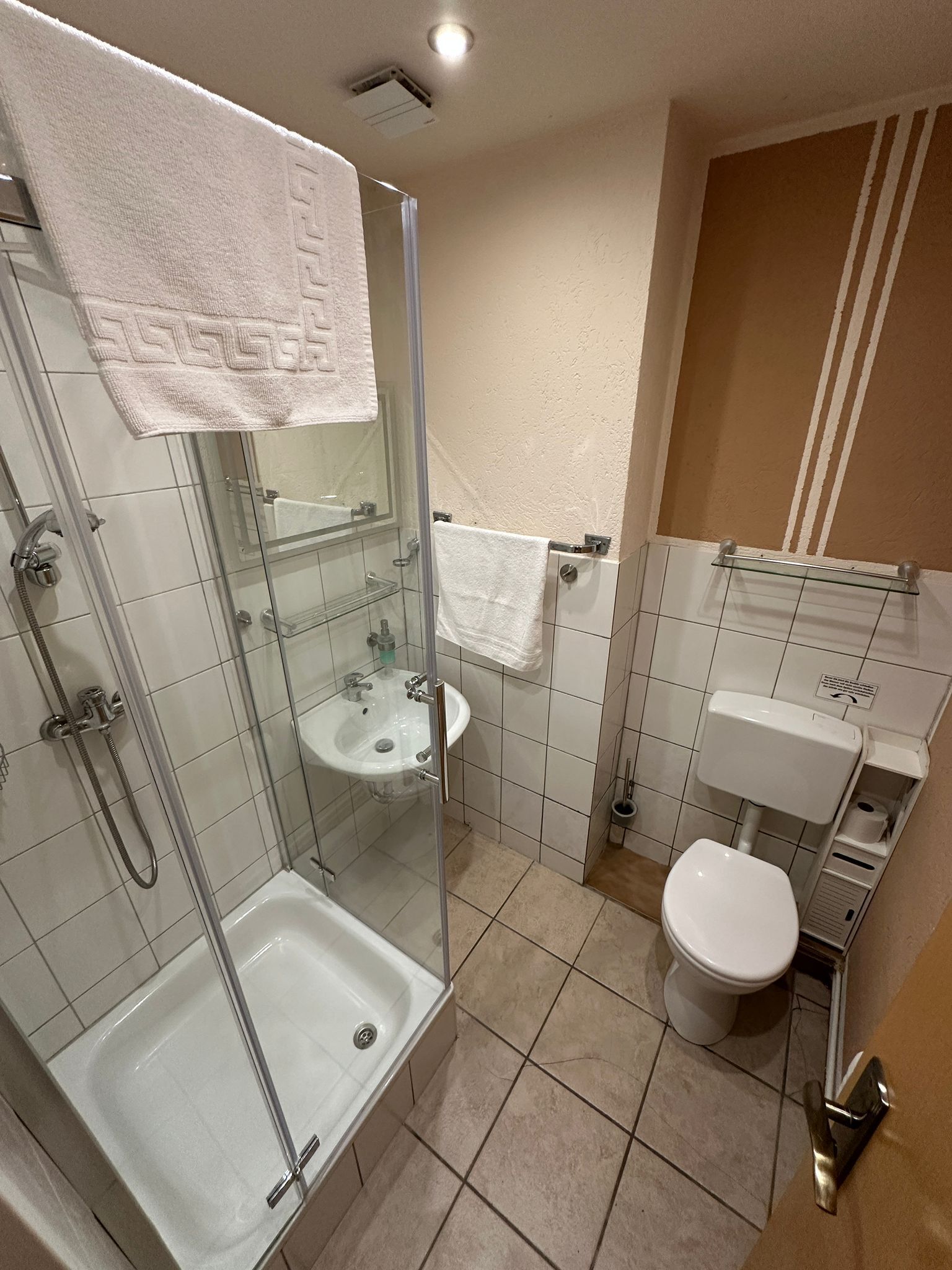 A modern bathroom with a glass-enclosed shower, a sink, and a toilet.