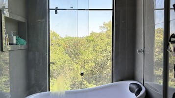 Secador de cabelo, sabonete, papel higiênico