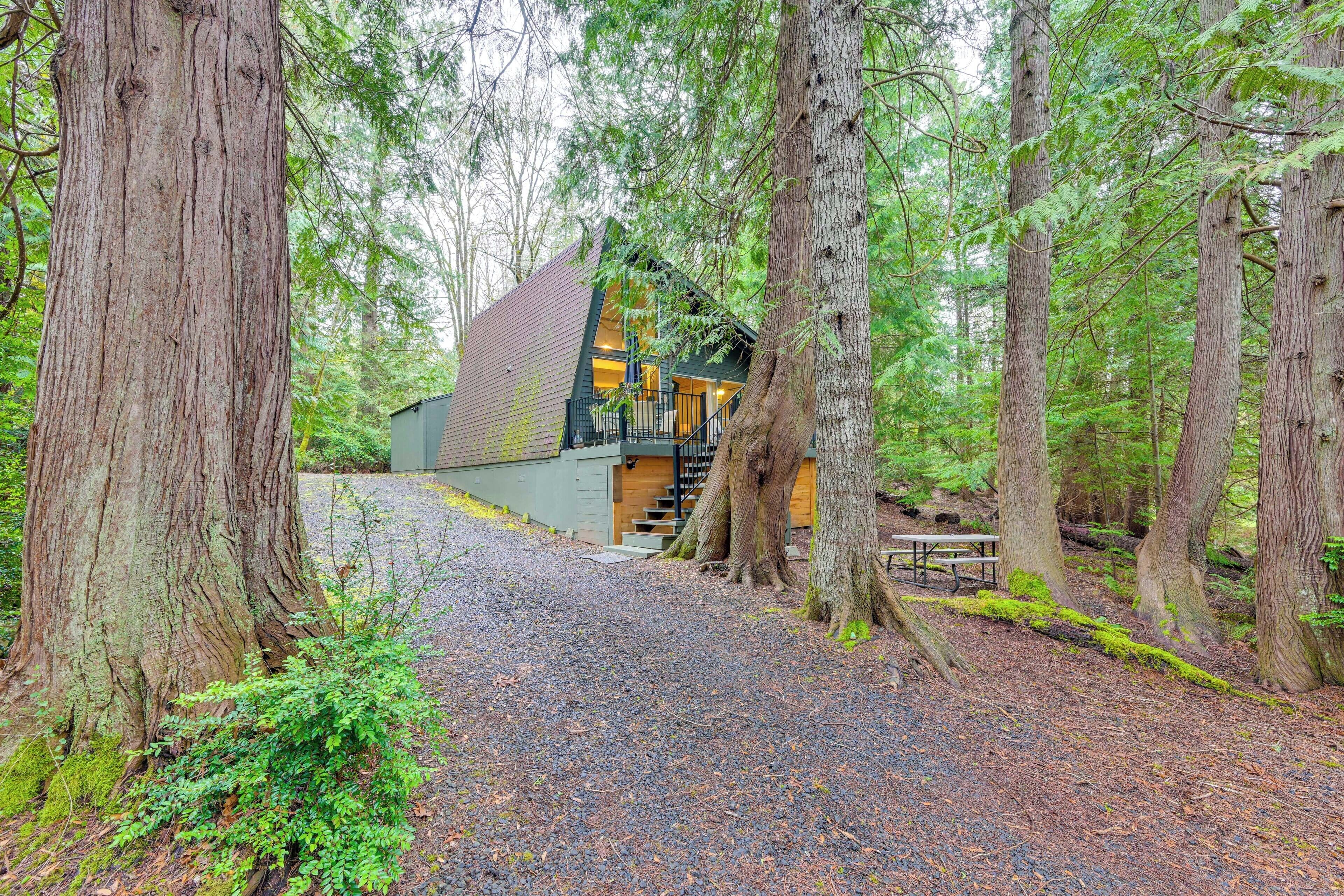 House (1 Bedroom) | Interior