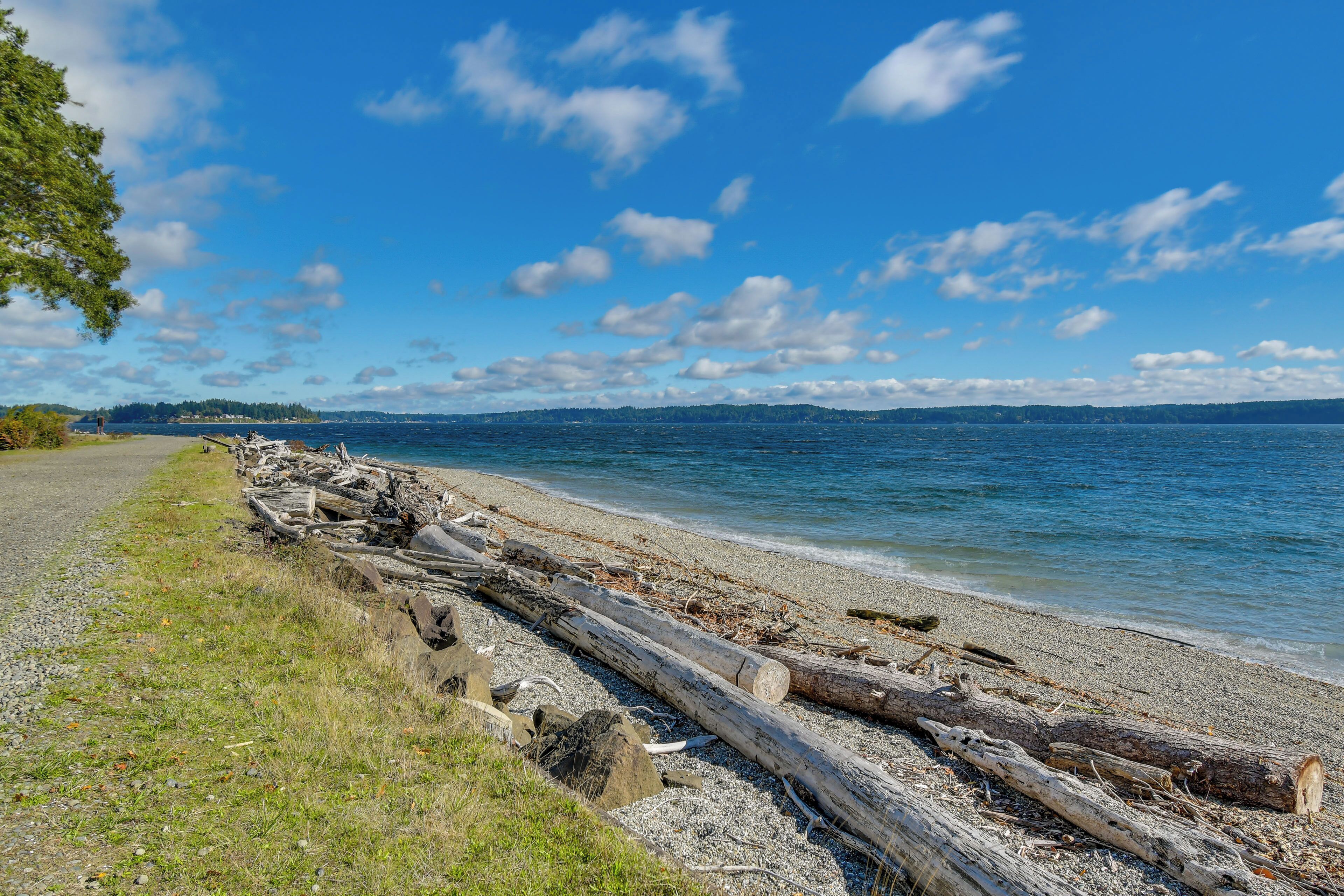 House (1 Bedroom) | Interior