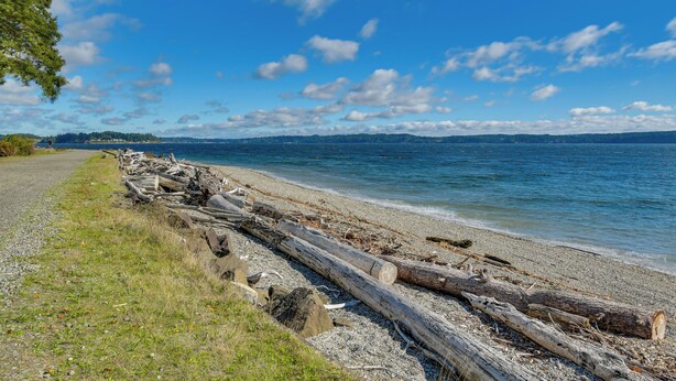 A beach with driftwood along the shore and a clear view of the water and distant land.