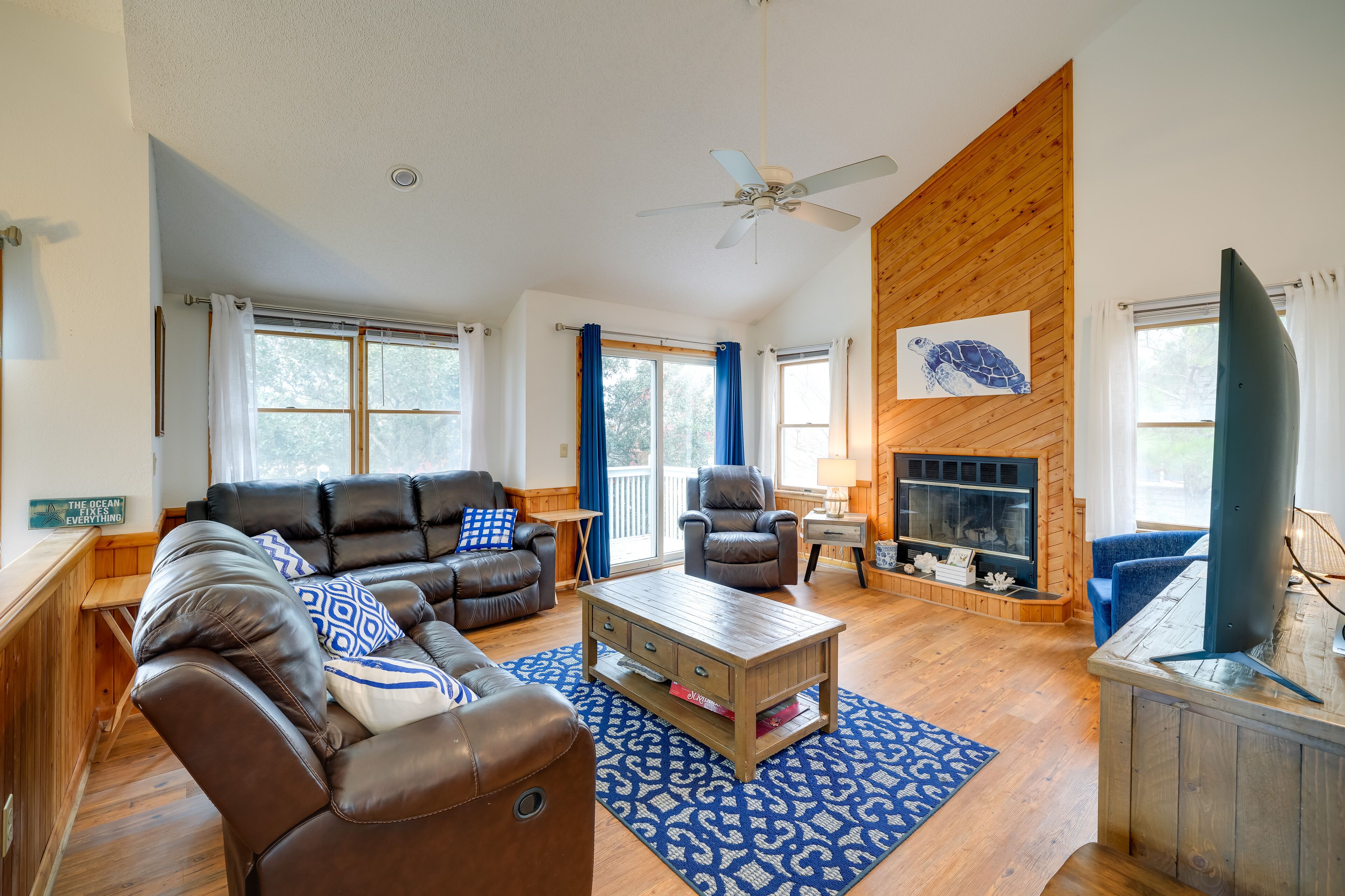 TV, fireplace, books