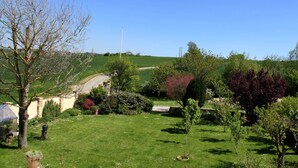 A lush green garden with various trees and shrubs, a clear blue sky, and a distant view of a hill. - La Chambre Rouge (ECHINGHEN)