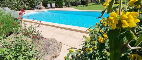 Outdoor pool, a heated pool