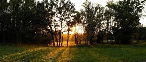 Overnatningsstedets område