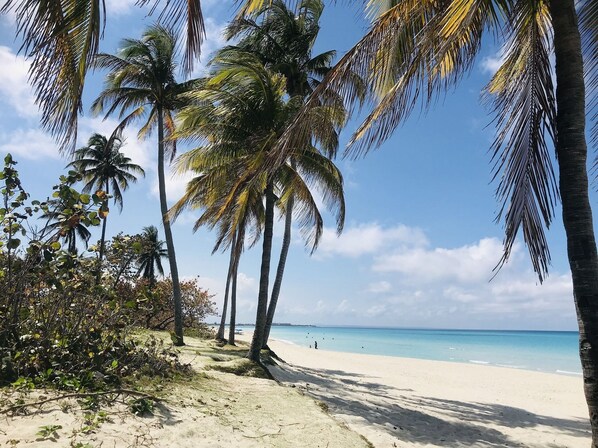 Beach nearby, white sand