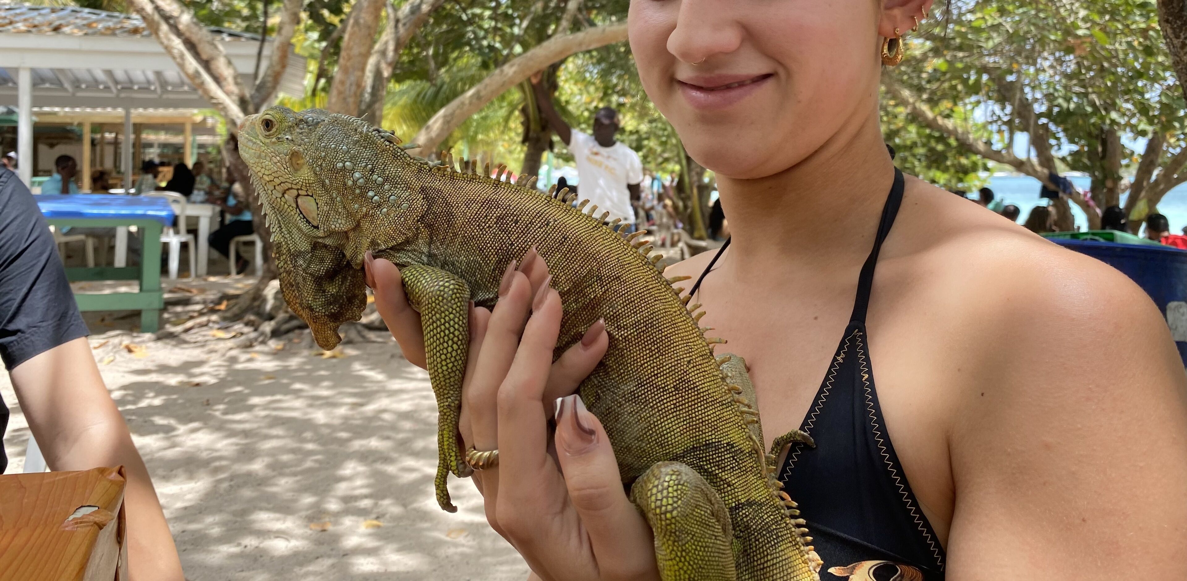 Eine Person hält eine große Echse.