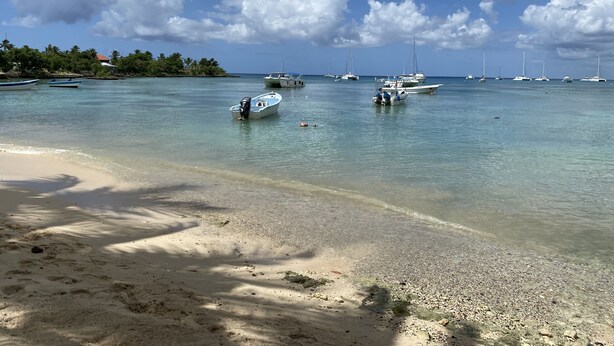 A beach with clear water, boats, and a distant shoreline with trees. - Hostal Magallanes Bayahibe (San Rafael del Yuma)