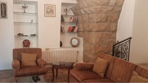 Sala de estar com dois sofás, uma mesa de centro e uma lareira. Há estantes com livros e objetos decorativos.