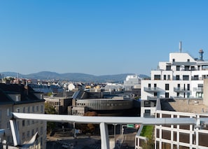 City view from property
