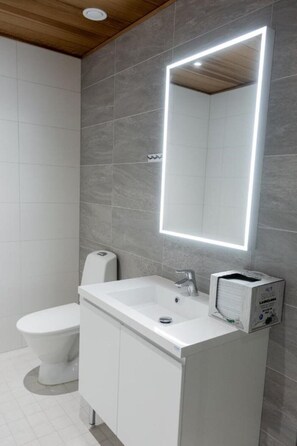 Hair dryer, towels, soap, toilet paper
