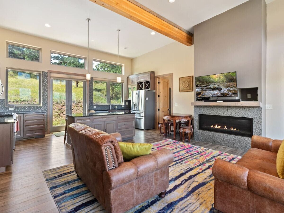 TV, fireplace, books, stereo