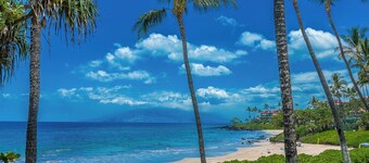 Newly Renovated Ocean View Retreat! Polo Beach 309