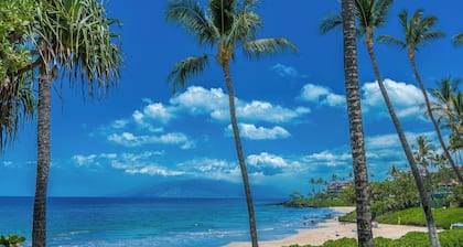 Newly Renovated Ocean View Retreat! Polo Beach 309