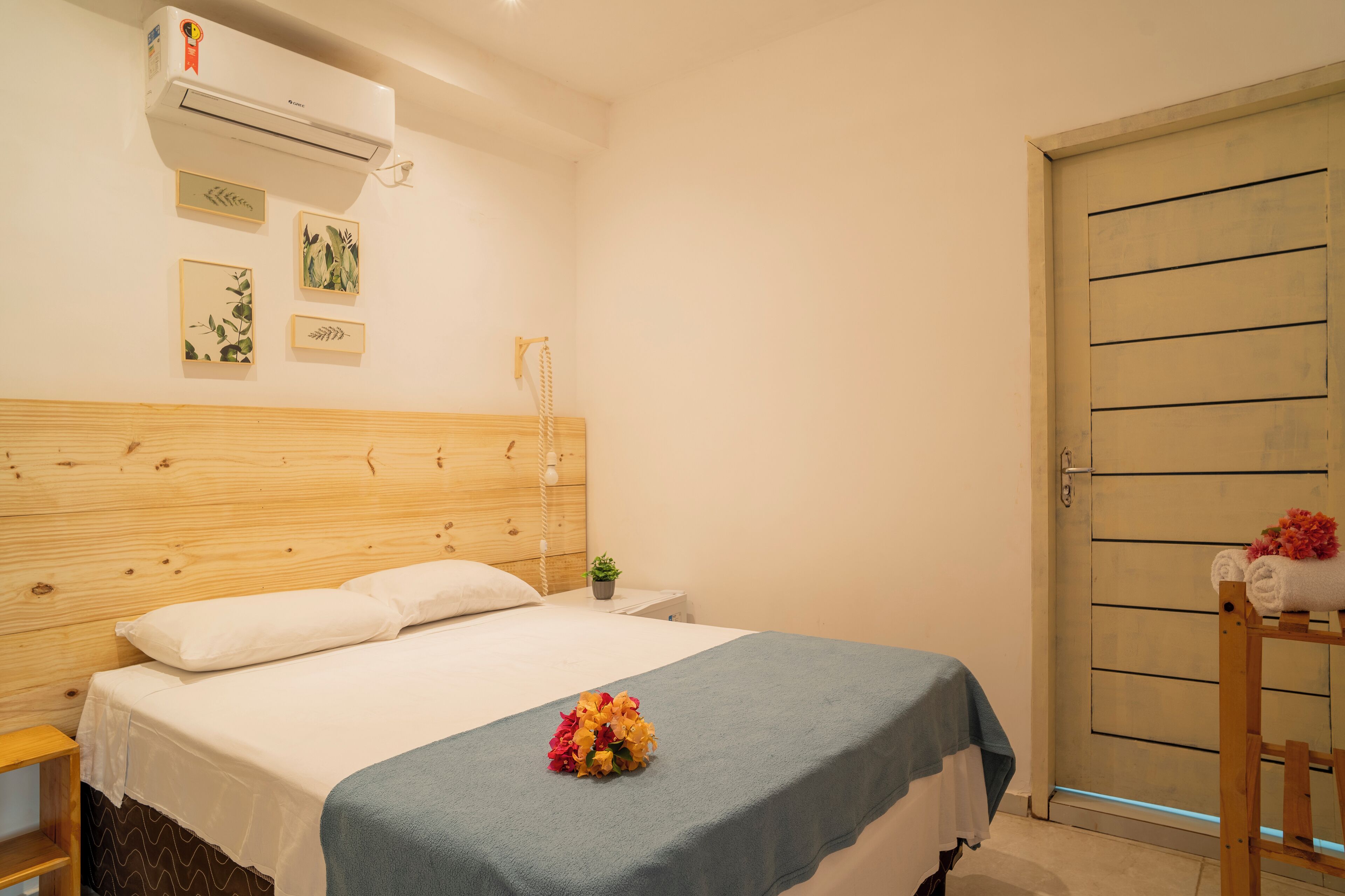 Foto - Pousada Cactus Jeri