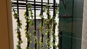 Une porte verte avec une poignée en métal, un portail noir en métal orné de lierre grimpant et une fenêtre au-dessus de la porte.