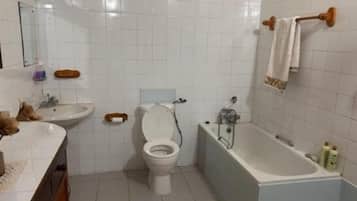 Shower, towels, toilet paper