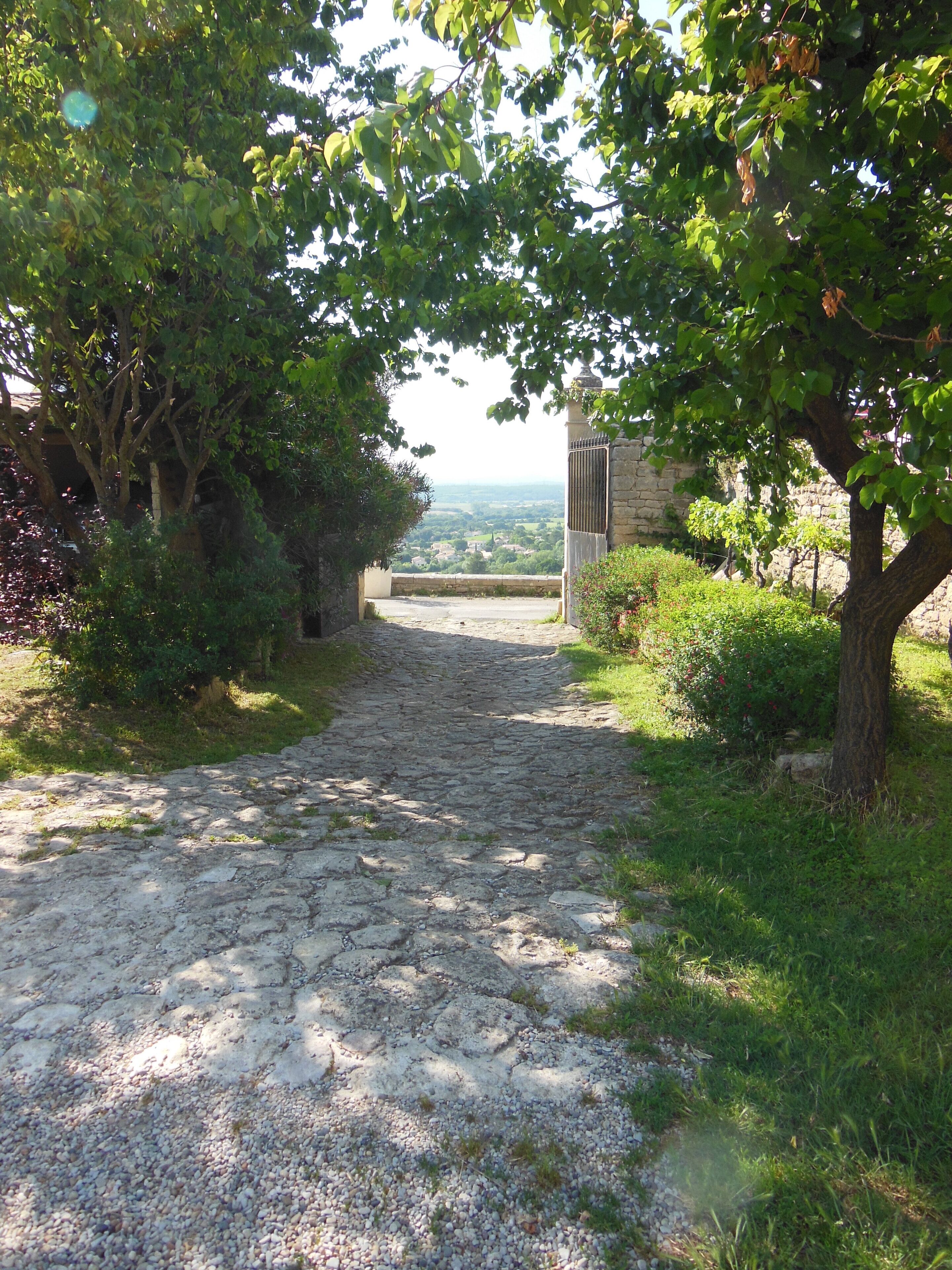Un sentier pavé de pierres menant à une porte en pierre, entouré d’une végétation luxuriante et d’arbres.
