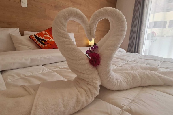 Down duvets, iron/ironing board, free WiFi, bed sheets