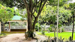 A landscaped garden area with a paved walkway, a large tree, and a white fence.