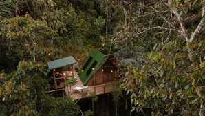 A treehouse with a green roof, wooden deck, and string lights. - Selva Ecospa Wellness Stay (Guatapé)