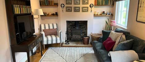 Smart TV, fireplace, books