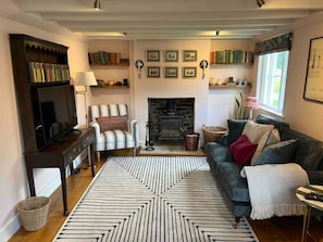 Un salon confortable avec une cheminée, un canapé, un téléviseur et une bibliothèque.