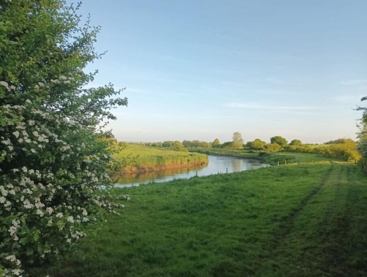 Afbeelding van de eigenaar