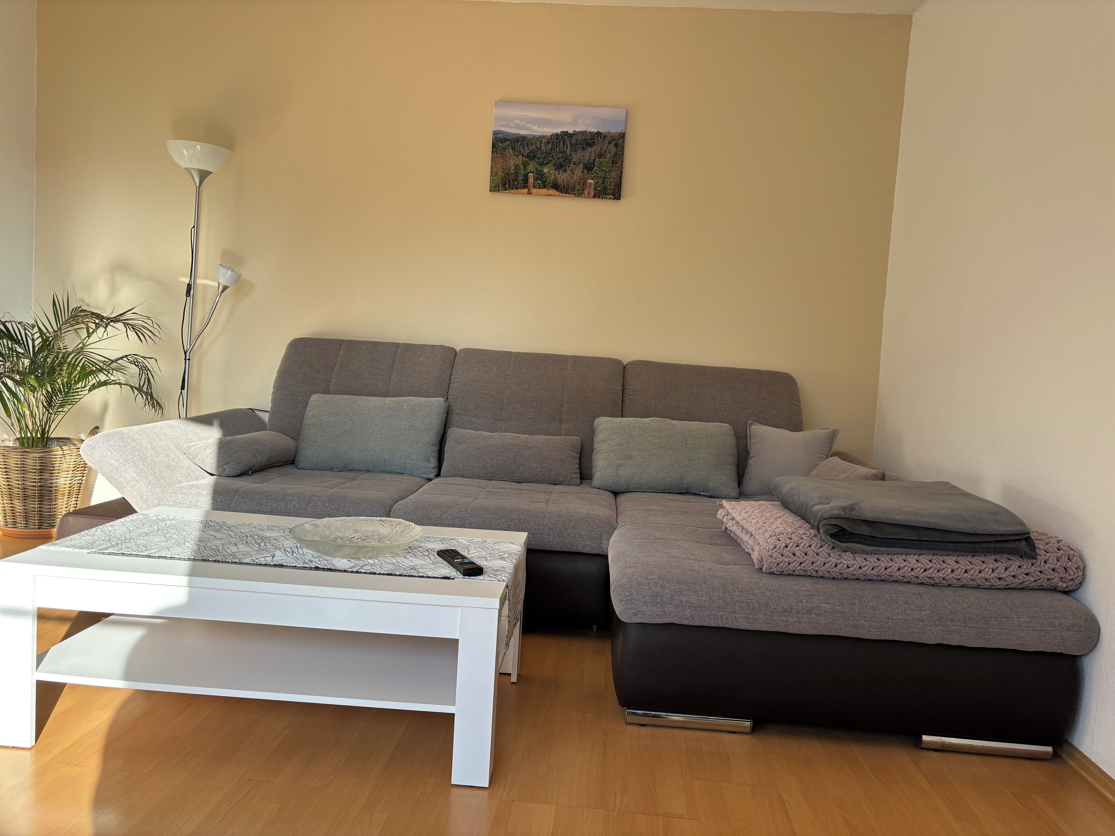 A living room with a grey sofa, a white coffee table, and a floor lamp.