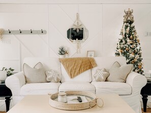 Smart TV, chimenea y libros 