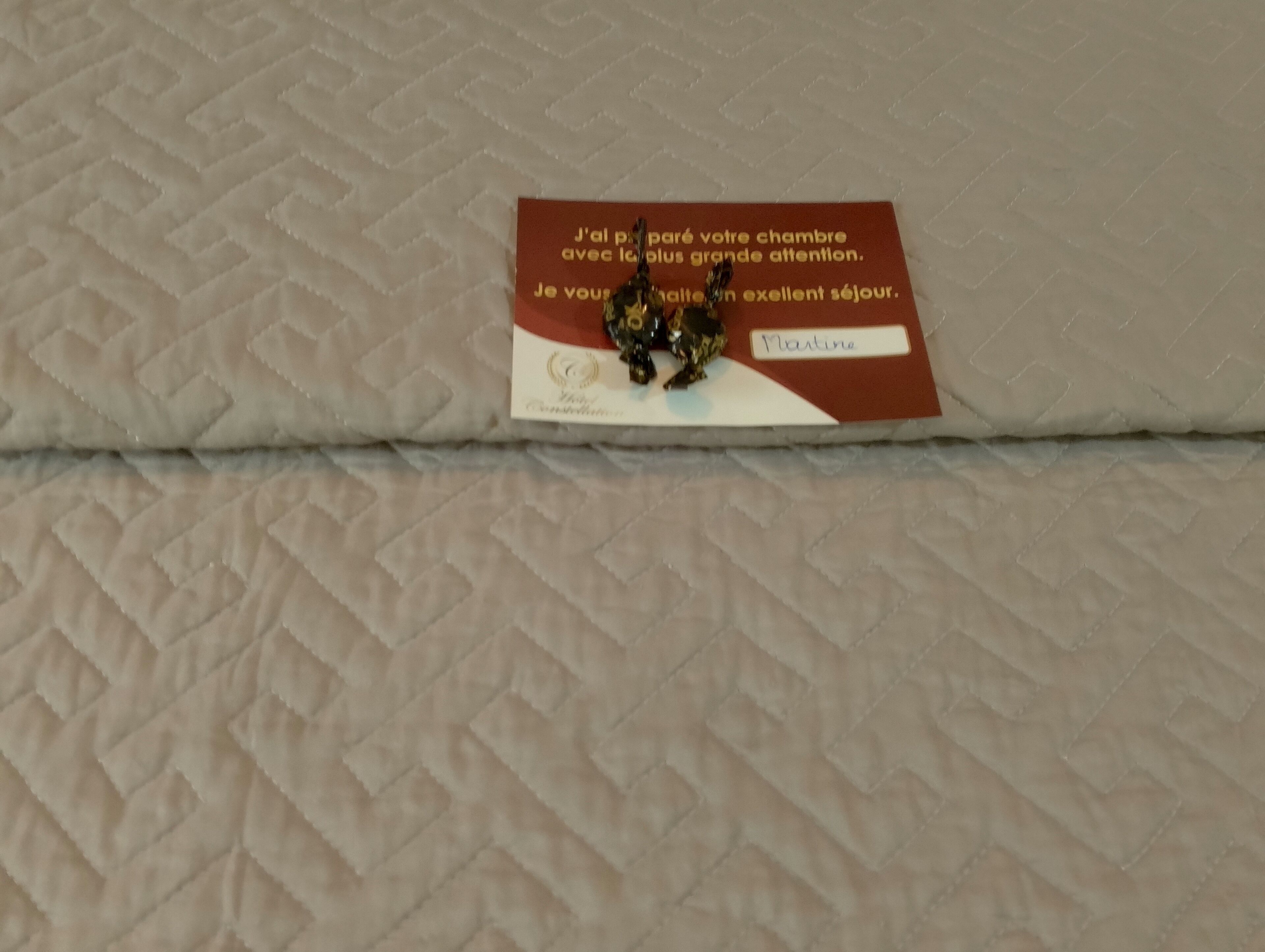 Photo - Hôtel Restaurant Constellation