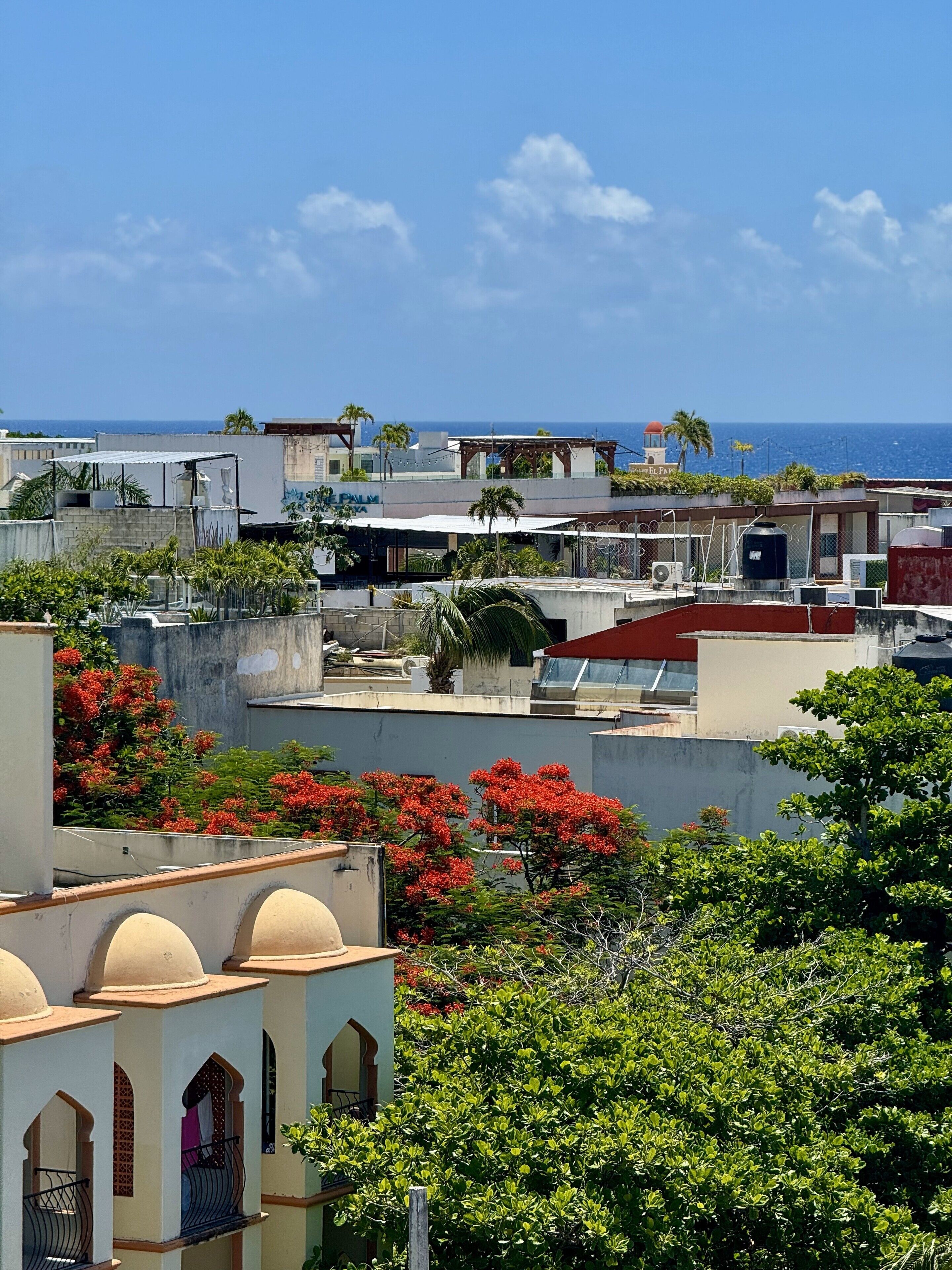 Zona residencial con varios edificios, algunos con techos planos y otros inclinados. Se ven palmeras y plantas con flores rojas. El mar es visible al fondo.