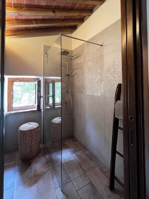 Shower, hair dryer, bidet, towels