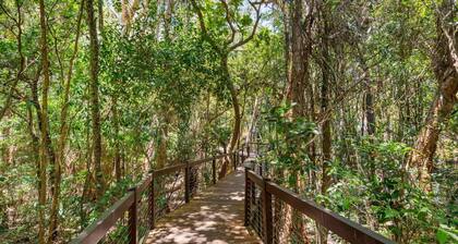 Belle Escapes 60 Ocean