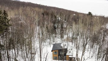 Une cabane entourée d’une forêt, avec un lac en arrière-plan.