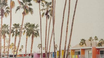 A beachfront hotel with multiple-story buildings, palm trees, and a pool area with sun loungers and umbrellas.