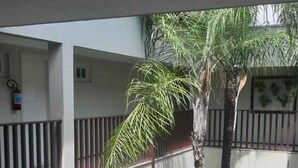 Un immeuble à plusieurs étages doté de balcons, d’un palmier et d’un escalier.