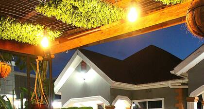 DAHARI HOME HOSTEL - Your Perfect Stay Every Time