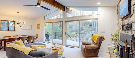 TV, fireplace