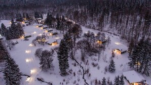A snow-covered landscape with multiple cabins, each with visible windows and doors, surrounded by dense forest.