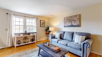 Televisor, futbolí i biblioteca musical