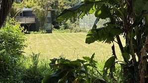 Un jardin luxuriant, avec des bananiers, et une maison en arrière-plan.