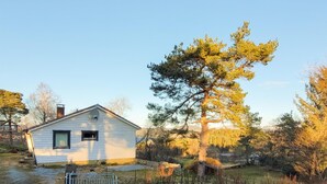 Billede uden beskrivelse, 2 af 10, knap