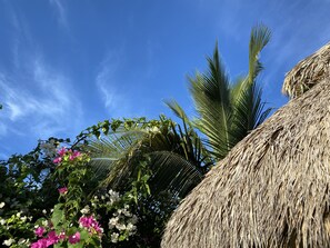 Exterior - Casa de las Libélulas (Puerto Escondido)